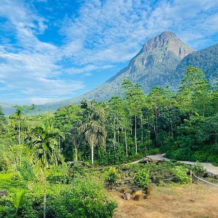 Palabaddala Tea And Eco Lodge راتنابورا المظهر الخارجي الصورة