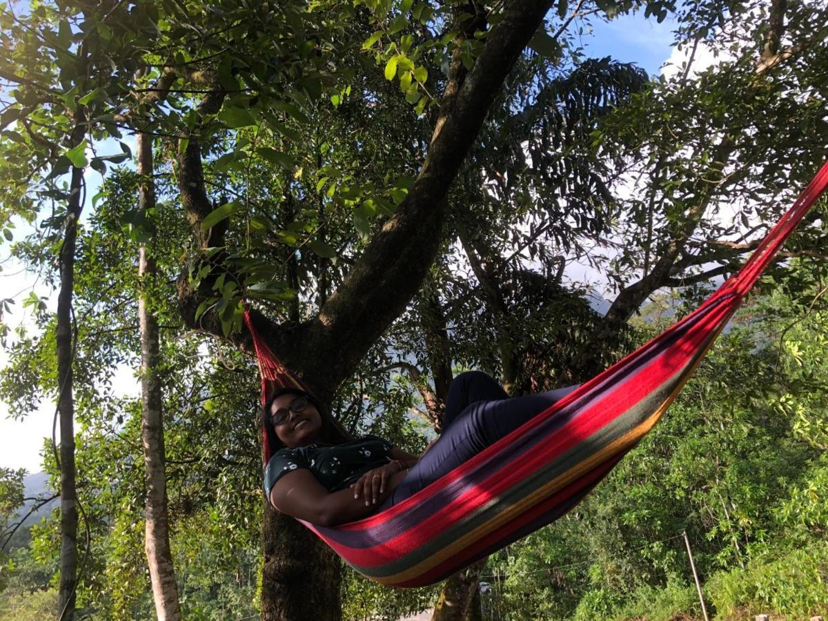 Palabaddala Tea And Eco Lodge راتنابورا المظهر الخارجي الصورة