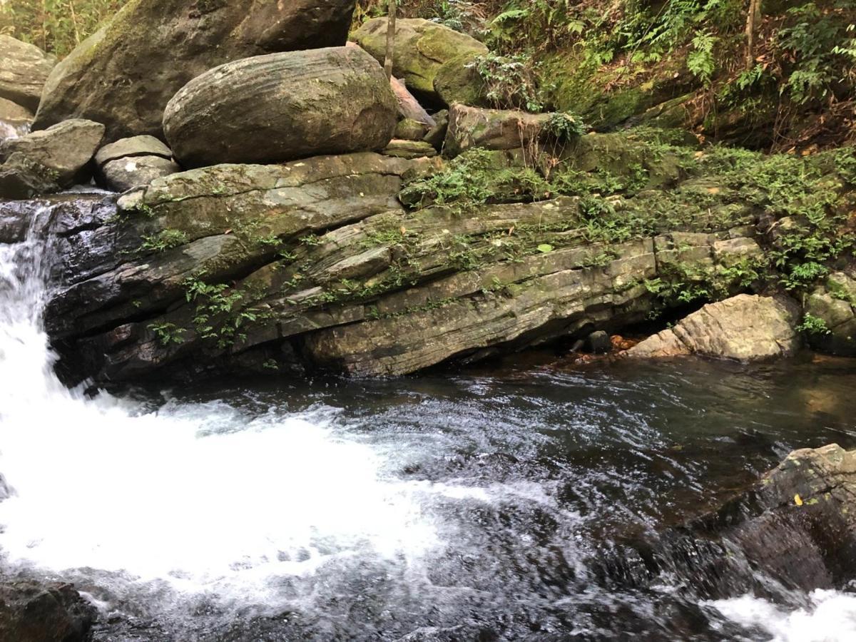 Palabaddala Tea And Eco Lodge راتنابورا المظهر الخارجي الصورة