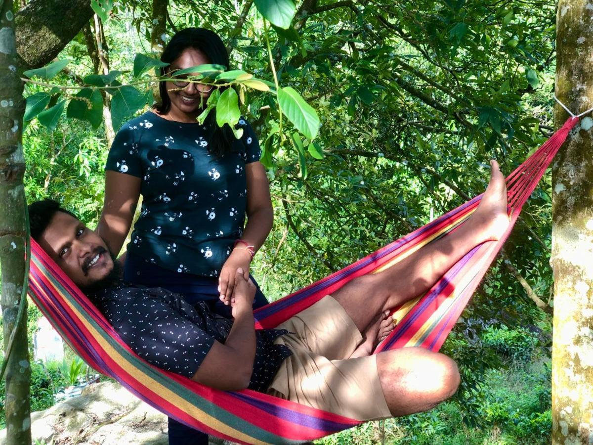 Palabaddala Tea And Eco Lodge راتنابورا المظهر الخارجي الصورة
