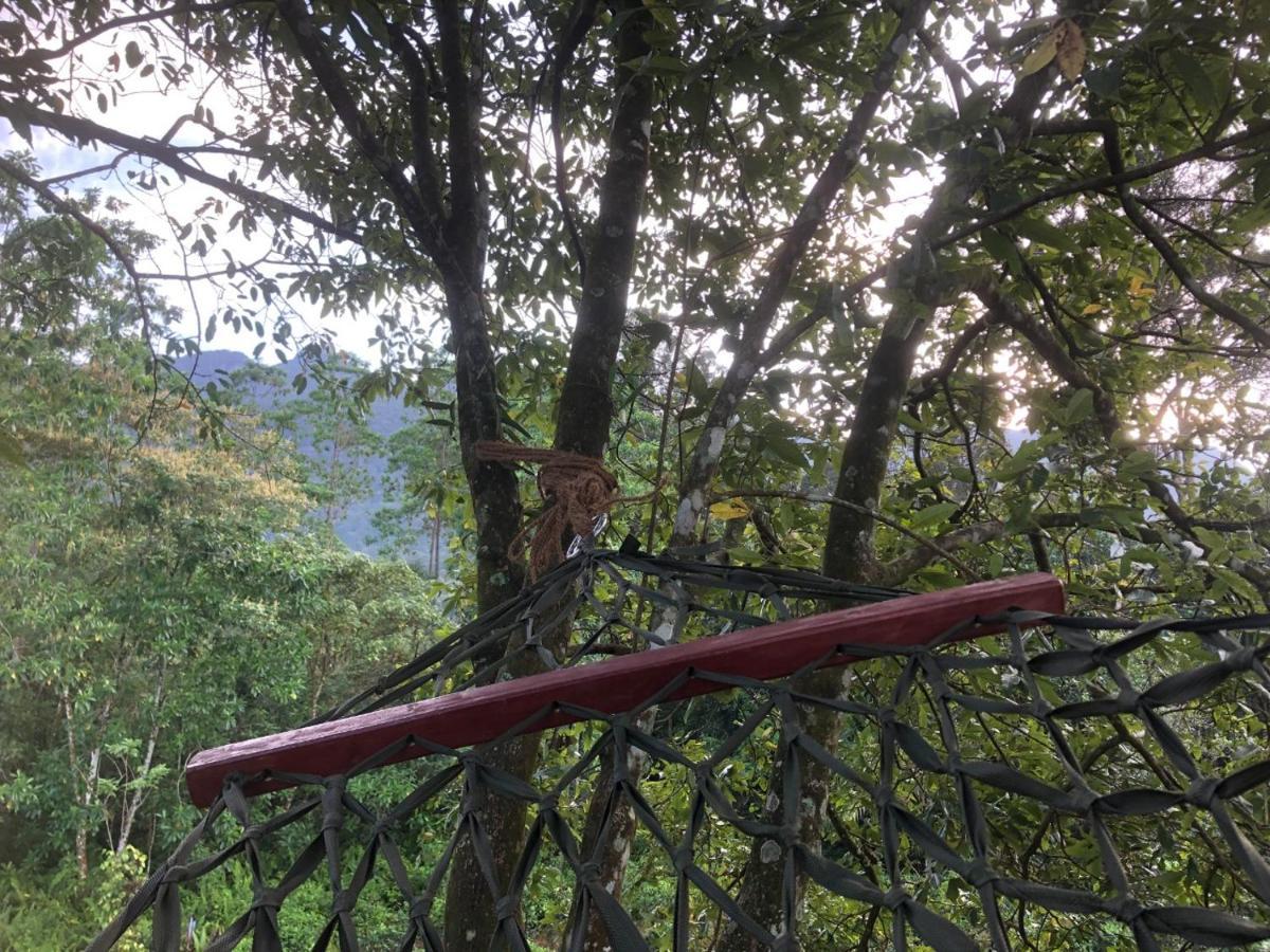 Palabaddala Tea And Eco Lodge راتنابورا المظهر الخارجي الصورة