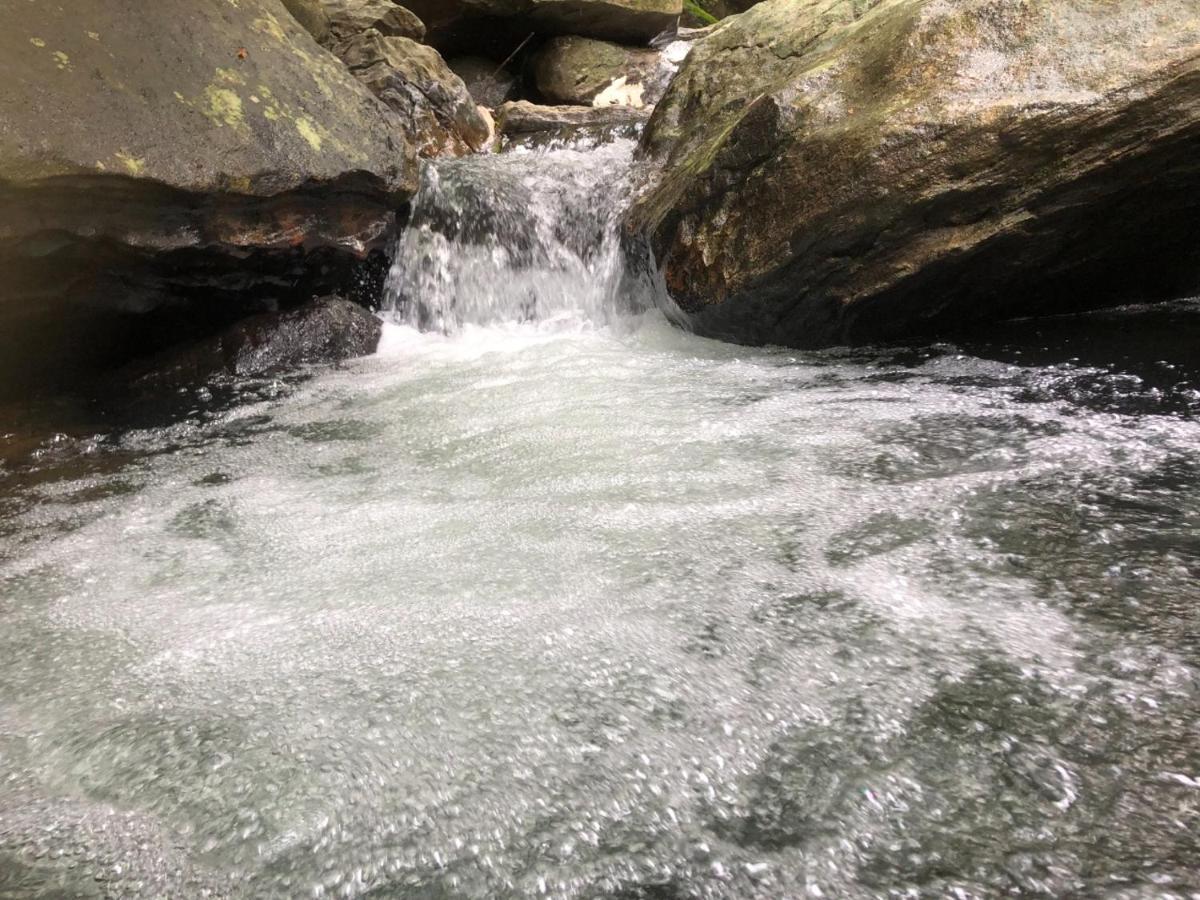 Palabaddala Tea And Eco Lodge راتنابورا المظهر الخارجي الصورة
