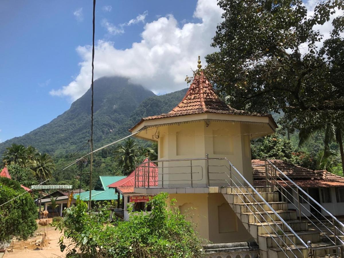 Palabaddala Tea And Eco Lodge راتنابورا المظهر الخارجي الصورة