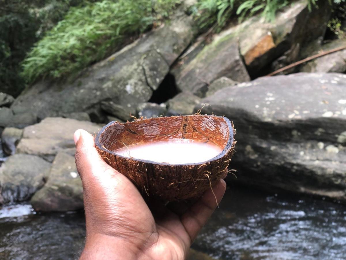 Palabaddala Tea And Eco Lodge راتنابورا المظهر الخارجي الصورة