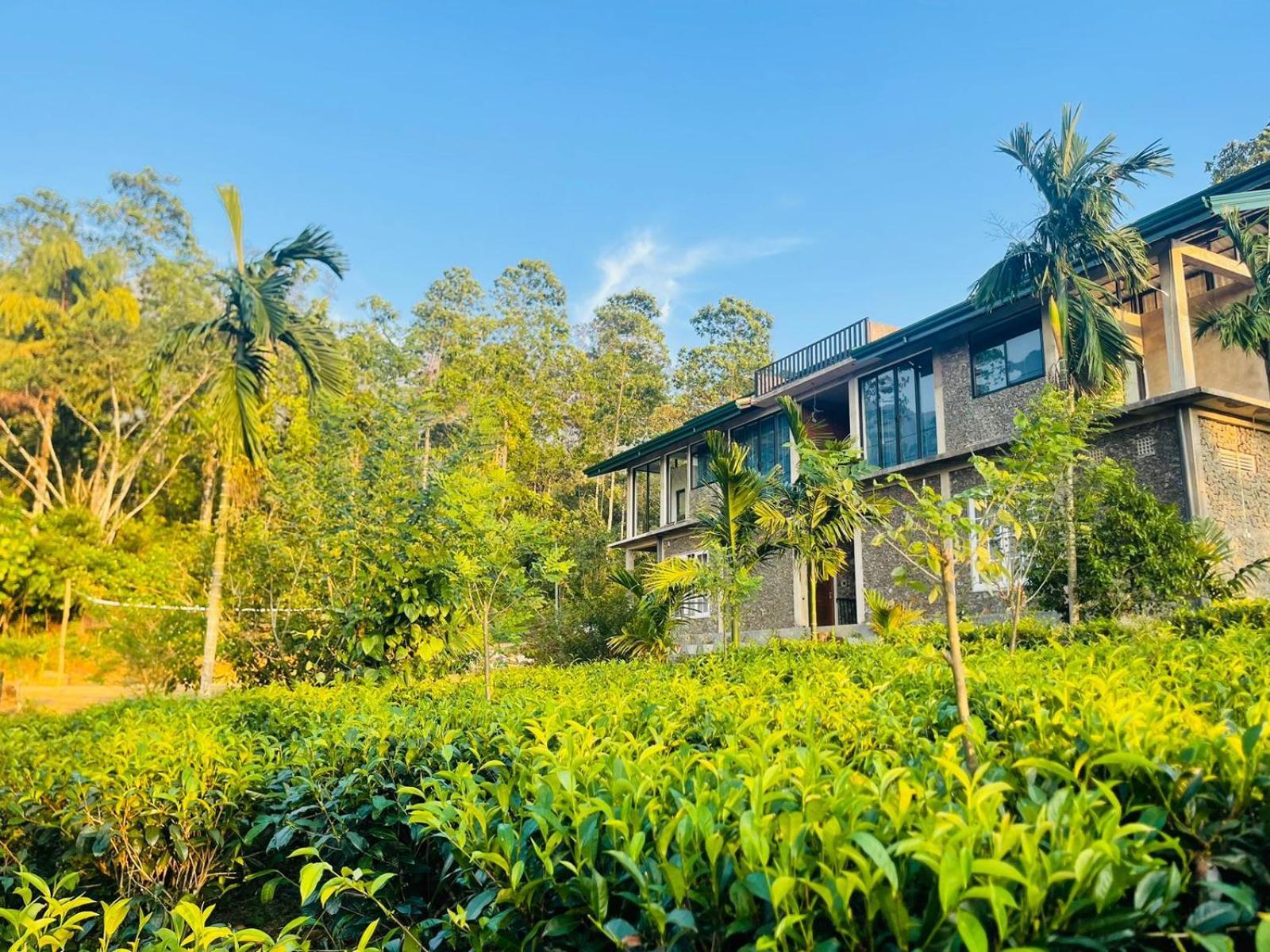 Palabaddala Tea And Eco Lodge راتنابورا المظهر الخارجي الصورة