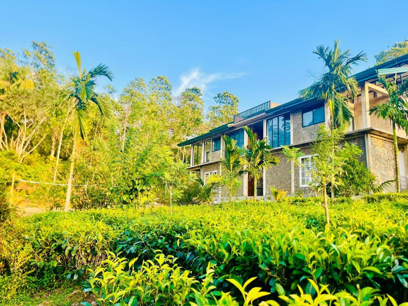 Palabaddala Tea And Eco Lodge راتنابورا المظهر الخارجي الصورة