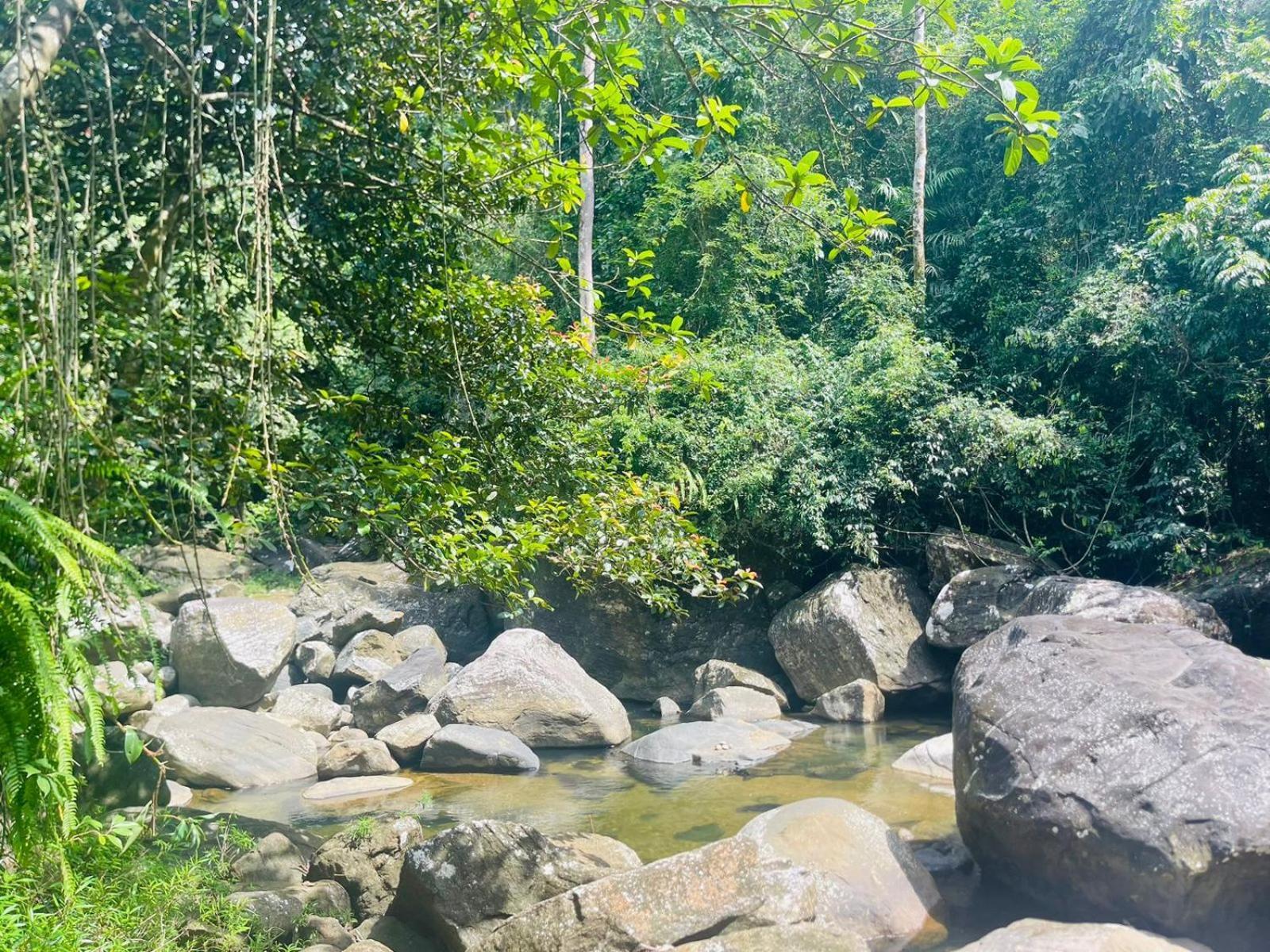 Palabaddala Tea And Eco Lodge راتنابورا المظهر الخارجي الصورة