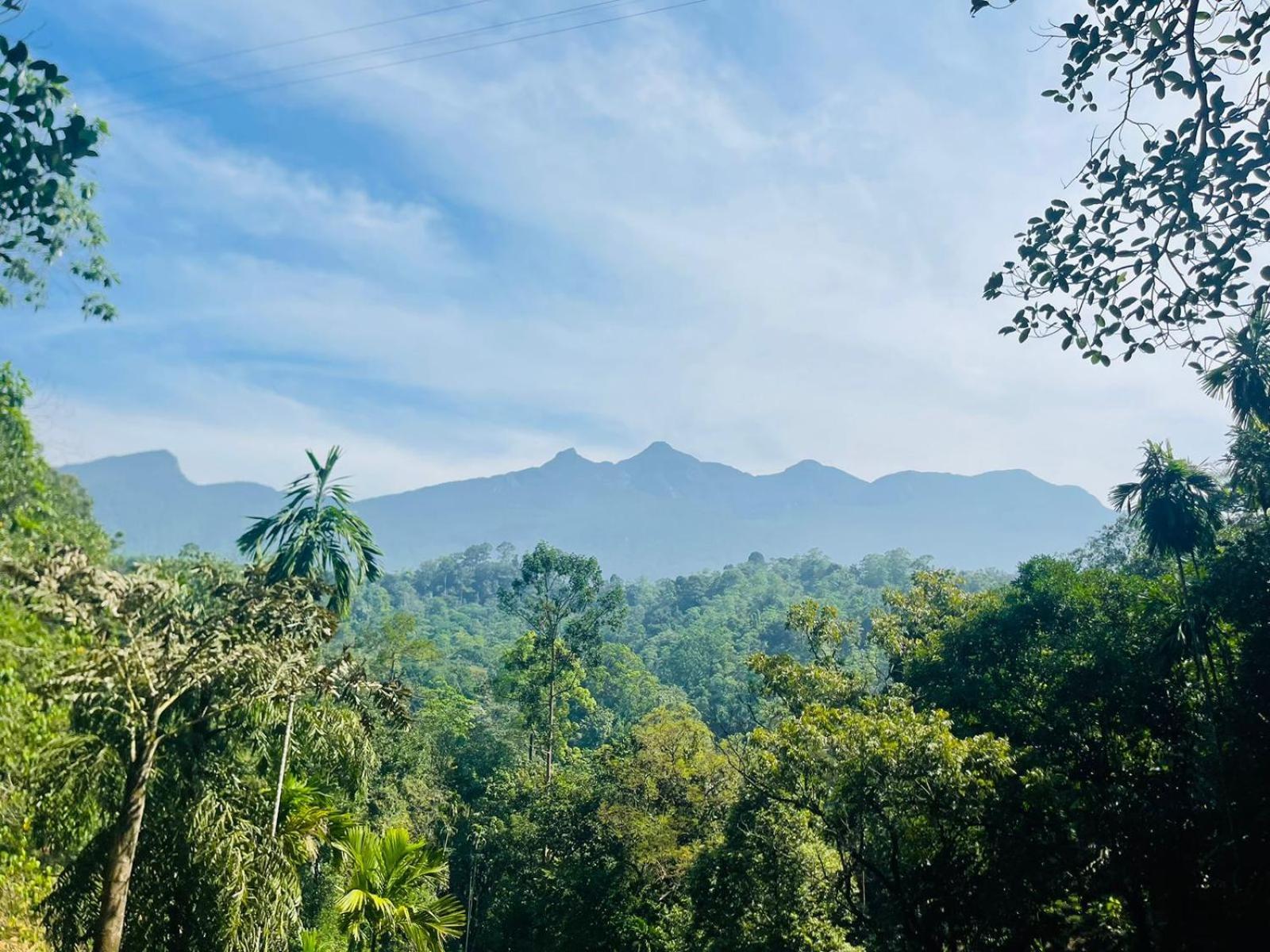 Palabaddala Tea And Eco Lodge راتنابورا المظهر الخارجي الصورة