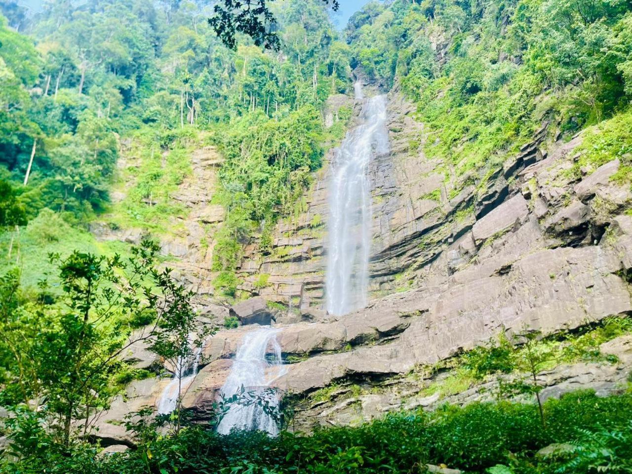 Palabaddala Tea And Eco Lodge راتنابورا المظهر الخارجي الصورة